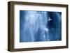 Northern fulmar in flight against a waterfall, Iceland-Ben Hall-Framed Photographic Print