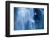 Northern fulmar in flight against a waterfall, Iceland-Ben Hall-Framed Photographic Print