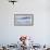 Northern Fulmar over the coast of southern Greenland.-Martin Zwick-Framed Photographic Print displayed on a wall