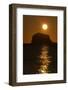 Northern Gannet Colony in Flight over Bass Rock at Sunrise, Firth of Forth, Scotland, August-Green-Framed Photographic Print