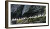 Northern Gannet in Noss NNR. Shetland, Northern Isles, Scotland.-Martin Zwick-Framed Photographic Print