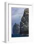 Northern Gannet (Morus Bassanus) Colonies on Stac Lee and Stac an Armin, St. Kilda, Hebrides, UK-Muñoz-Framed Photographic Print