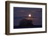 Northern Gannet (Morus Bassanus) Colony, Bass Rock with the Moon Rising, Firth of Forth, Scotland-Green-Framed Photographic Print