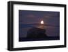 Northern Gannet (Morus Bassanus) Colony, Bass Rock with the Moon Rising, Firth of Forth, Scotland-Green-Framed Photographic Print