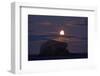 Northern Gannet (Morus Bassanus) Colony, Bass Rock with the Moon Rising, Firth of Forth, Scotland-Green-Framed Photographic Print