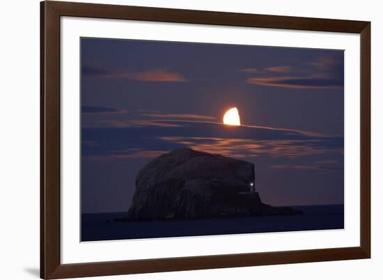 Northern Gannet (Morus Bassanus) Colony, Bass Rock with the Moon Rising, Firth of Forth, Scotland-Green-Framed Photographic Print