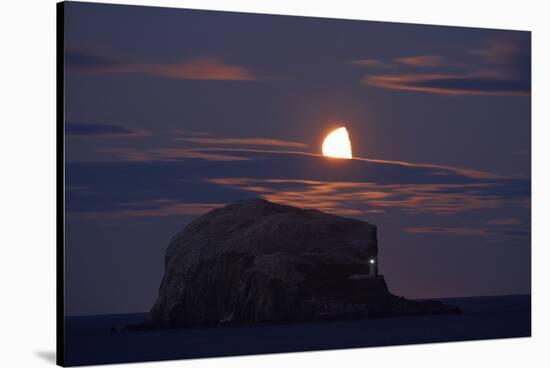 Northern Gannet (Morus Bassanus) Colony, Bass Rock with the Moon Rising, Firth of Forth, Scotland-Green-Stretched Canvas