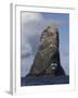 Northern Gannet (Morus Bassanus) Colony, St Kilda, Scotland, May 2009-Green-Framed Photographic Print