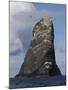 Northern Gannet (Morus Bassanus) Colony, St Kilda, Scotland, May 2009-Green-Mounted Photographic Print