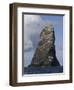 Northern Gannet (Morus Bassanus) Colony, St Kilda, Scotland, May 2009-Green-Framed Photographic Print