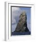 Northern Gannet (Morus Bassanus) Colony, St Kilda, Scotland, May 2009-Green-Framed Photographic Print