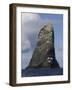 Northern Gannet (Morus Bassanus) Colony, St Kilda, Scotland, May 2009-Green-Framed Photographic Print