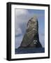 Northern Gannet (Morus Bassanus) Colony, St Kilda, Scotland, May 2009-Green-Framed Photographic Print