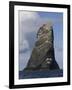 Northern Gannet (Morus Bassanus) Colony, St Kilda, Scotland, May 2009-Green-Framed Photographic Print