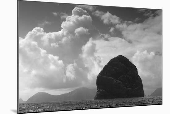 Northern Gannet (Morus Bassanus) Colony, St Kilda, Scotland, May 2009-Green-Mounted Photographic Print