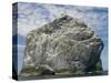 Northern gannet nesting colony atop Stac Lee-Kevin Schafer-Stretched Canvas
