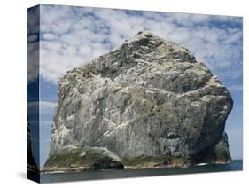 Northern gannet nesting colony atop Stac Lee-Kevin Schafer-Stretched Canvas