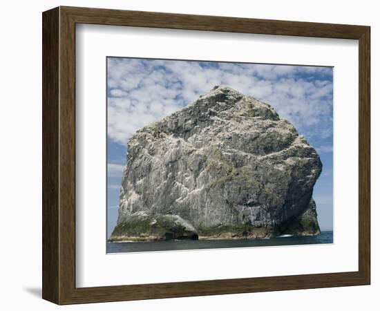 Northern gannet nesting colony atop Stac Lee-Kevin Schafer-Framed Photographic Print