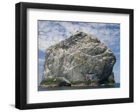 Northern gannet nesting colony atop Stac Lee-Kevin Schafer-Framed Photographic Print