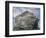 Northern gannet nesting colony atop Stac Lee-Kevin Schafer-Framed Photographic Print