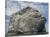 Northern gannet nesting colony atop Stac Lee-Kevin Schafer-Stretched Canvas