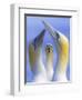Northern Gannets (Morus - Sula Bassanus) Portrait Of Individual With A Courting Pair In Foreground-Ben Hall-Framed Photographic Print