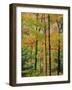 Northern Hardwood Forest in Fall, Green Mountain National Forest, Vermont, USA-Jerry & Marcy Monkman-Framed Photographic Print