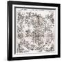 Northern Hemisphere Star Chart, 1537-Middle Temple Library-Framed Photographic Print