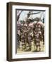 Northern Highlands Tribesmen with Striped Body Decoration, Goroka, Papua New Guinea-Ian Griffiths-Framed Photographic Print