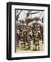 Northern Highlands Tribesmen with Striped Body Decoration, Goroka, Papua New Guinea-Ian Griffiths-Framed Photographic Print