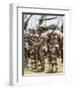 Northern Highlands Tribesmen with Striped Body Decoration, Goroka, Papua New Guinea-Ian Griffiths-Framed Photographic Print