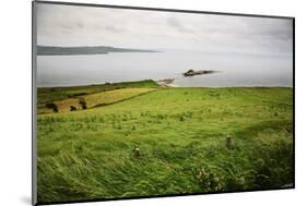 Northern Ireland, Antrim Coast, Glens-Bluehouseproject-Mounted Photographic Print