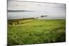 Northern Ireland, Antrim Coast, Glens-Bluehouseproject-Mounted Photographic Print