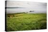 Northern Ireland, Antrim Coast, Glens-Bluehouseproject-Stretched Canvas