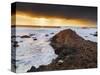 Northern Ireland, County antrim, Giants causeway at sunset-Shaun Egan-Stretched Canvas