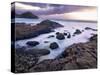 Northern Ireland, County antrim, Giants causeway-Shaun Egan-Stretched Canvas