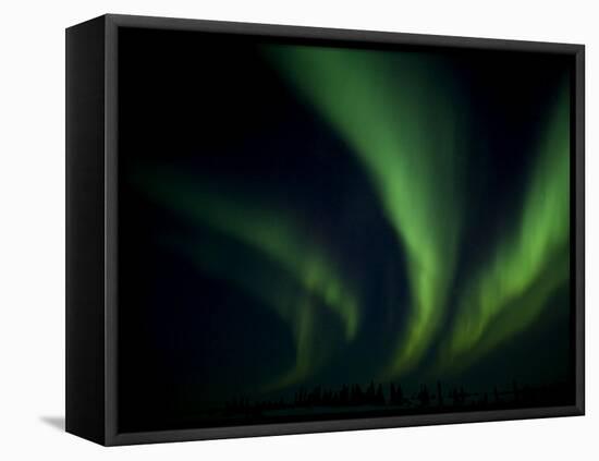 Northern Light, Aurora Borealis, Churchill, Manitoba, Canada-Thorsten Milse-Framed Stretched Canvas