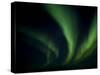 Northern Light, Aurora Borealis, Churchill, Manitoba, Canada-Thorsten Milse-Stretched Canvas