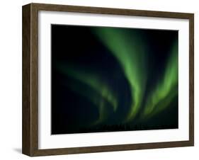 Northern Light, Aurora Borealis, Churchill, Manitoba, Canada-Thorsten Milse-Framed Photographic Print