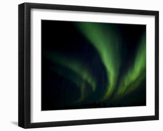 Northern Light, Aurora Borealis, Churchill, Manitoba, Canada-Thorsten Milse-Framed Photographic Print