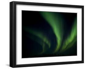Northern Light, Aurora Borealis, Churchill, Manitoba, Canada-Thorsten Milse-Framed Photographic Print