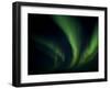 Northern Light, Aurora Borealis, Churchill, Manitoba, Canada-Thorsten Milse-Framed Photographic Print