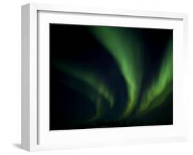 Northern Light, Aurora Borealis, Churchill, Manitoba, Canada-Thorsten Milse-Framed Photographic Print