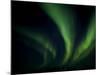 Northern Light, Aurora Borealis, Churchill, Manitoba, Canada-Thorsten Milse-Mounted Photographic Print