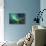 Northern Lights above Waters Edge-Jamen Percy-Stretched Canvas displayed on a wall