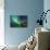 Northern Lights above Waters Edge-Jamen Percy-Mounted Photographic Print displayed on a wall