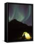 Northern Lights and Camper Outside Tent, Brooks Range, Arctic National Wildlife Refuge, Alaska, USA-Steve Kazlowski-Framed Stretched Canvas