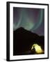 Northern Lights and Camper Outside Tent, Brooks Range, Arctic National Wildlife Refuge, Alaska, USA-Steve Kazlowski-Framed Photographic Print