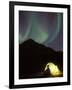 Northern Lights and Camper Outside Tent, Brooks Range, Arctic National Wildlife Refuge, Alaska, USA-Steve Kazlowski-Framed Photographic Print