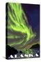 Northern Lights and Orcas, Alaska-Lantern Press-Stretched Canvas